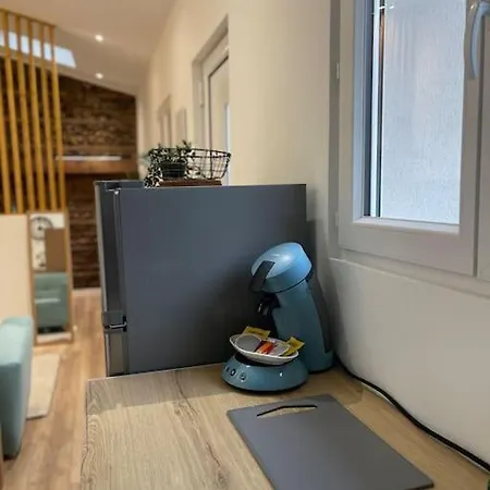 Joli Studio Maisonnette Avec Cachet Toulouse Exterior foto